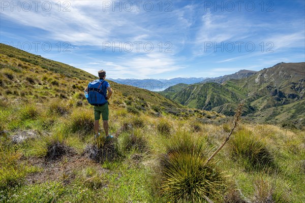 Hiker on hiking trail