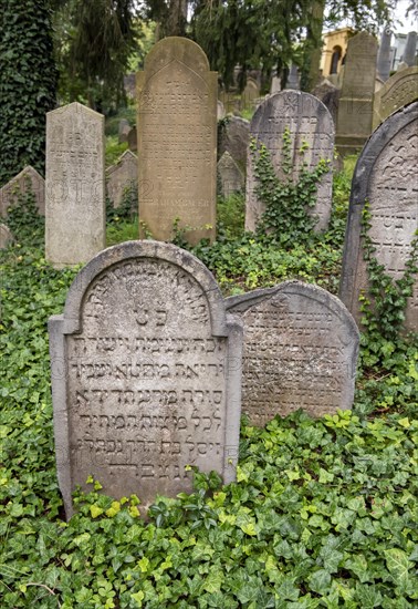 Tombstone at Jewish Cemetery