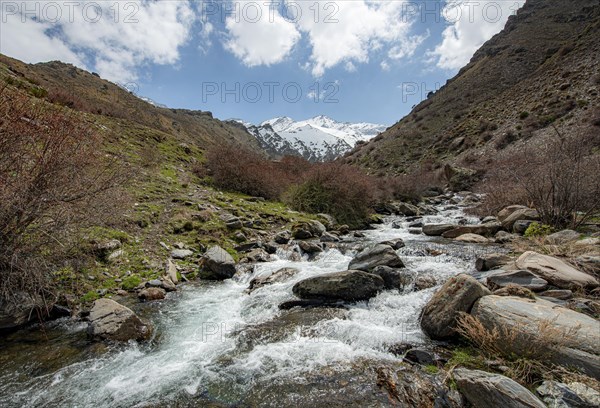 Mountain stream Rio Valdeinfierno