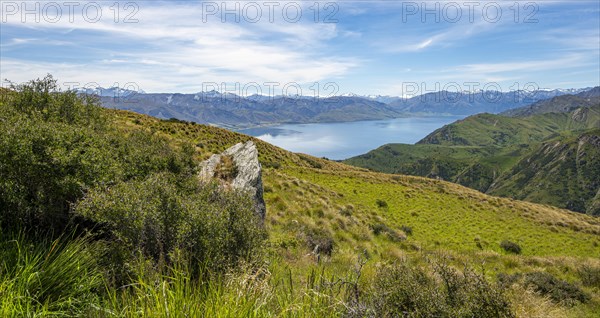 View from the Grandview Mountain Track to the lake