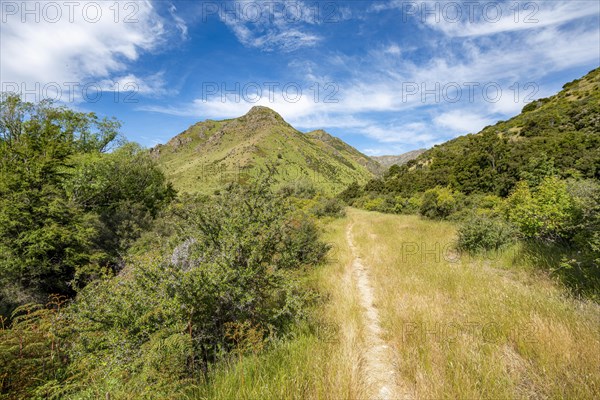 Hiking trail in the valley of Grandview Creek