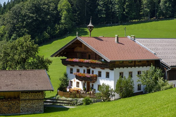 Farm Halbpoint