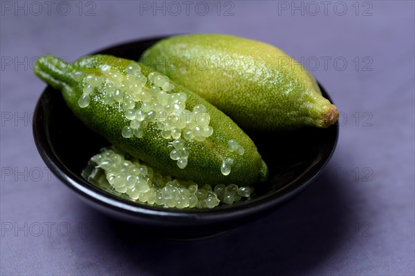 Australian finger lime