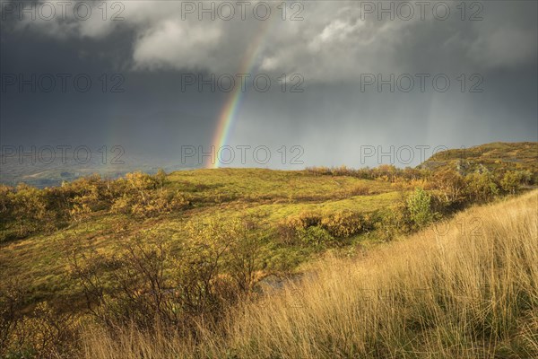 Thunderstorm with double rainbow and dramatic clouds with yellow grass on hills in autumn