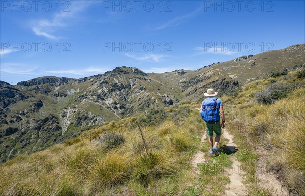 Hikers on trail