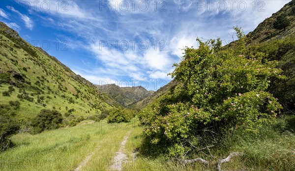 Hiking trail in the valley of Grandview Creek