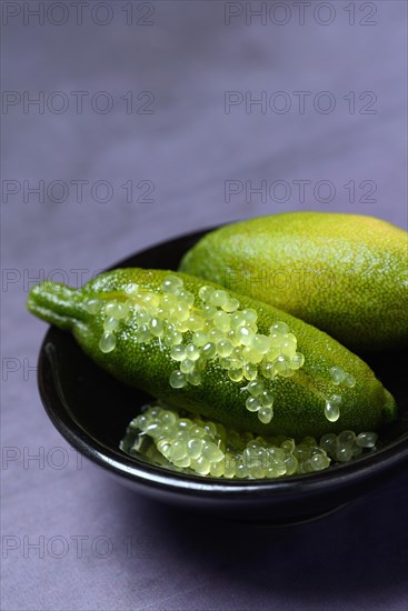 Australian finger limes in shell