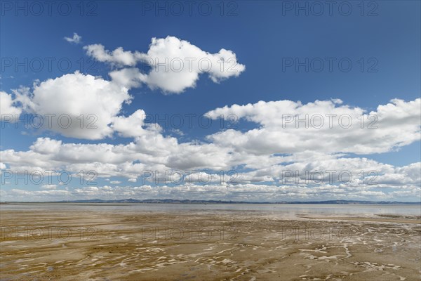 Firth of Thames
