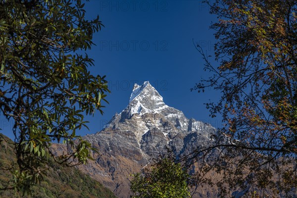 Machapuchare