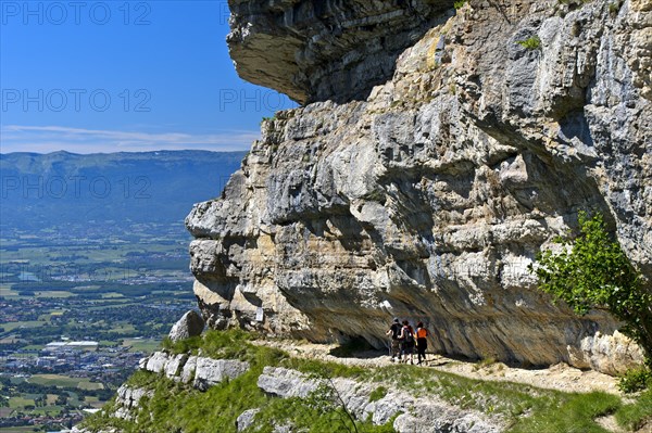 Narrow balcony path La Corraterie with panoramic view of the Geneva basin on the way to the summit Mont Saleve