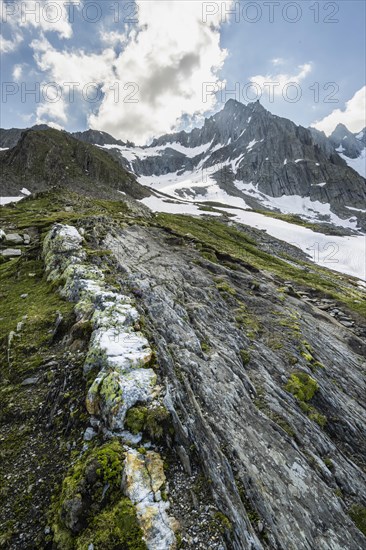 Hikers in front of snow-covered mountains