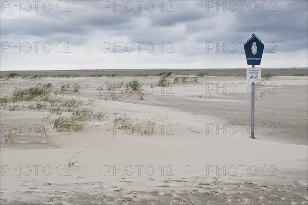 Beach landscape