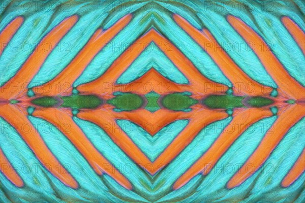 PHOTOMONTAGE