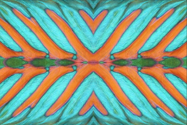 PHOTOMONTAGE