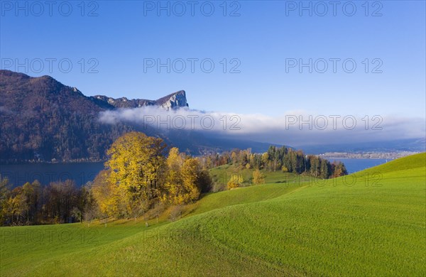 View from Pichl Auhof to the Mondsee lake and dragon wall