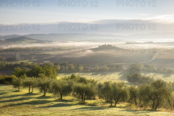 Country estate Poggio Covili with cypress avenue