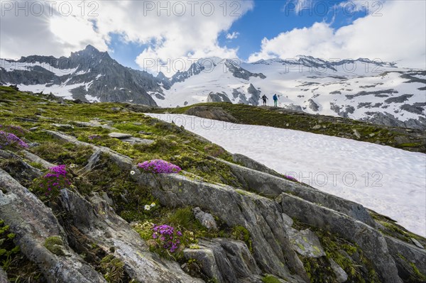 Hikers in front of snow-covered mountains