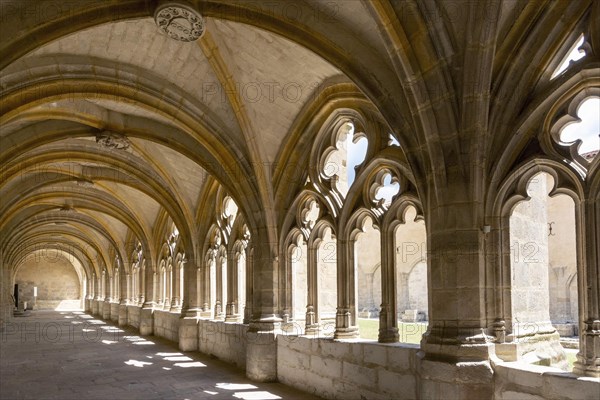 Galery of the Cloister of the Saint Robert abbey