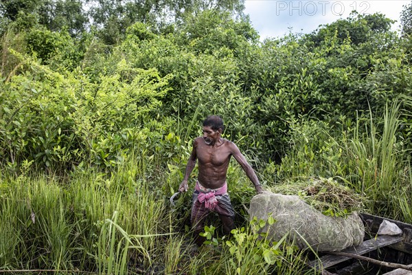 Honey collector with his boat