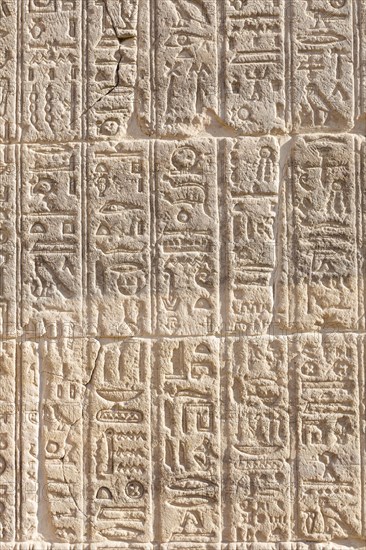Hieroglyph carvings at Philae temple