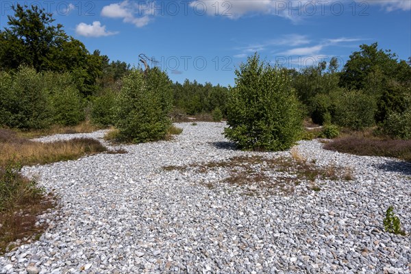 Flintstone fields