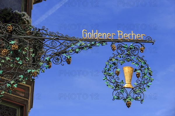 Golden cup