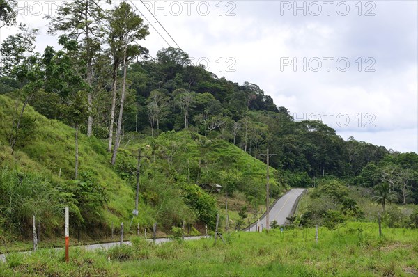 Dwindling rainforest along road 436