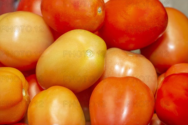 Fresh organic ripe tomatoes in the central market of the capital city of Port Louis