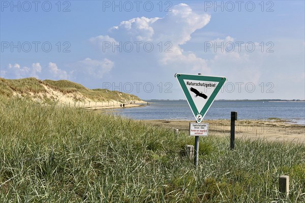 Shore of the Wadden Sea at Odde