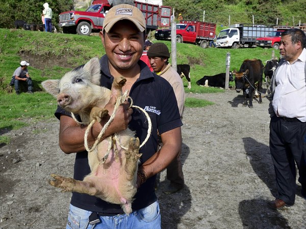 Young man offers piglets at the weekly cattle market