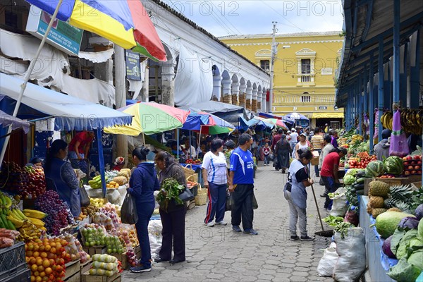 Alley with stalls at the market