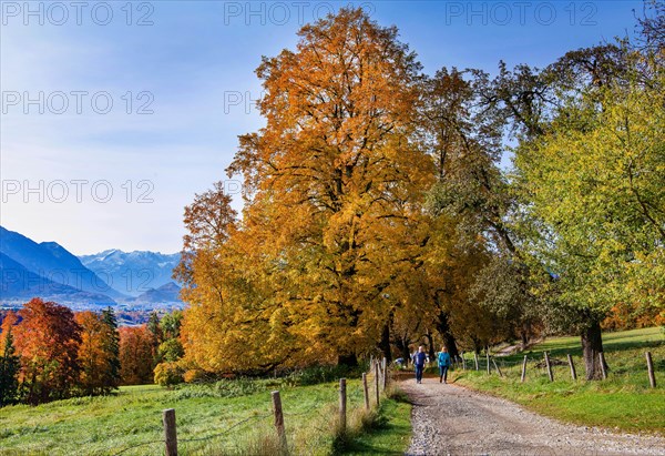 Hiking trail near Guglhoer above the Murnauer moss