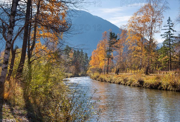 Autumn landscape at the Ammer