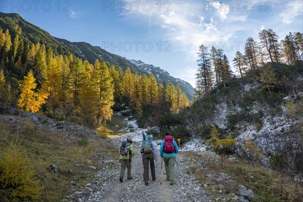 Three hikers on a hiking trail