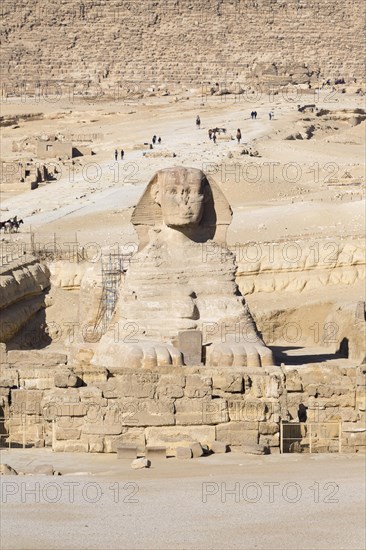 Sphinx