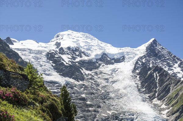Glacier