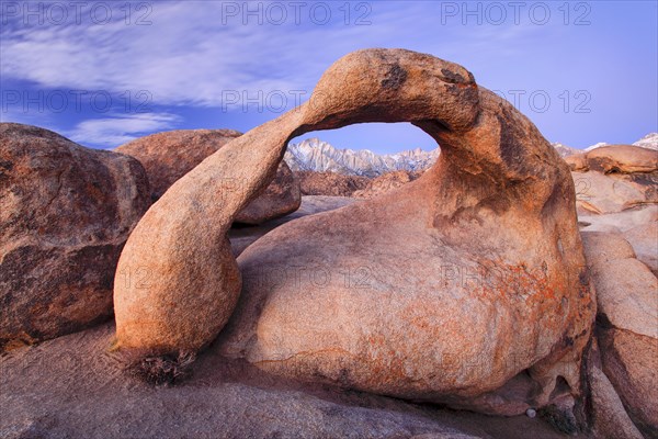 Mobius Arch