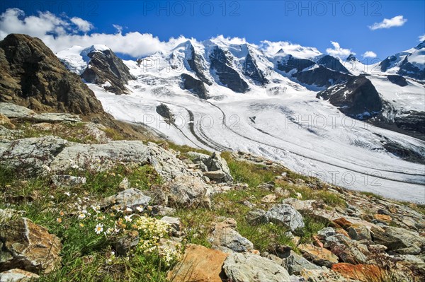 View from Diavolezza