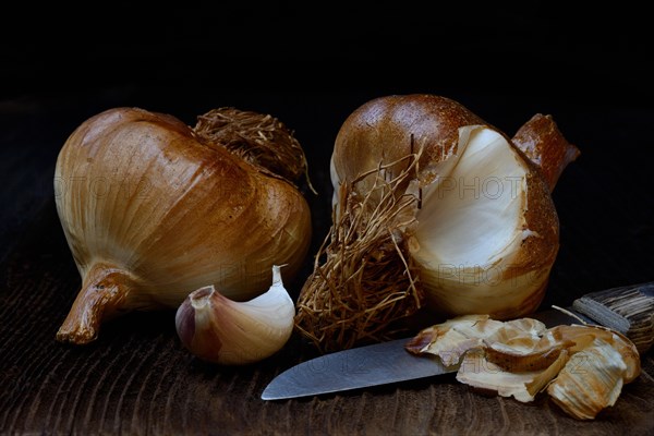 Garlic