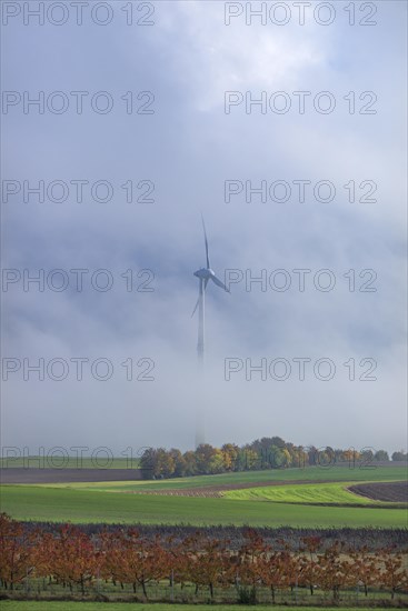 Windmill in the fog
