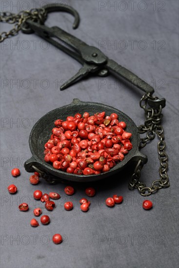 Red pepper in weighing pan
