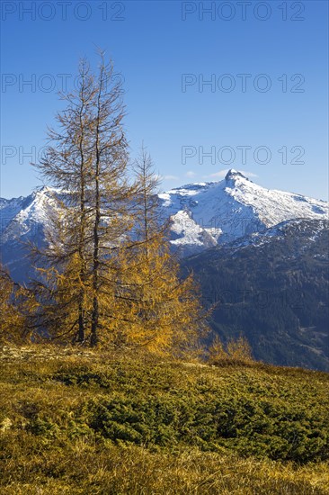 Autumnal mountain landscape with larches