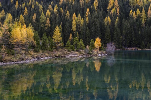 Autumn in the nature park Riedingtal