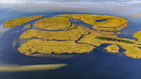 Aerial view of the Small Werder Islands in the National Park Vorpommersche Boddenlandschaft