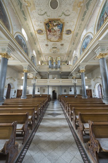 Organ gallery