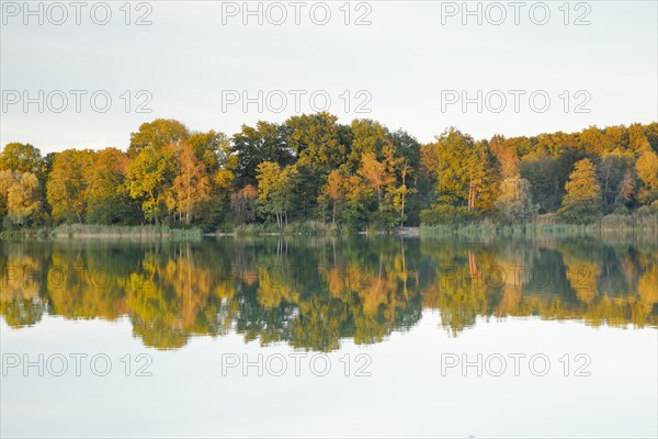 Burgaeschisee