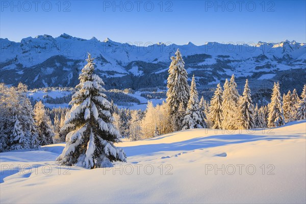 Central Swiss Alps