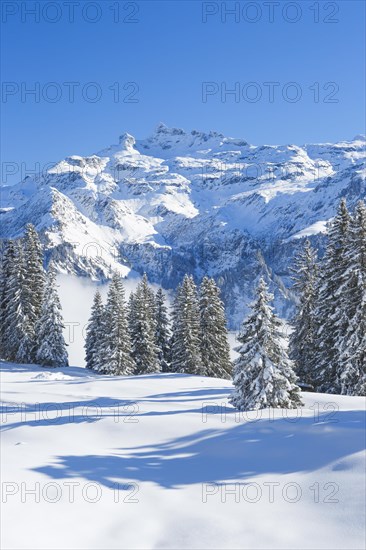 Freiberge Kaerpf