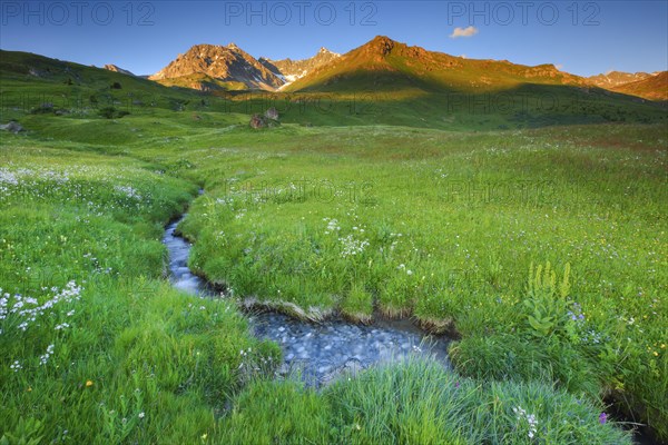 Alp Flix