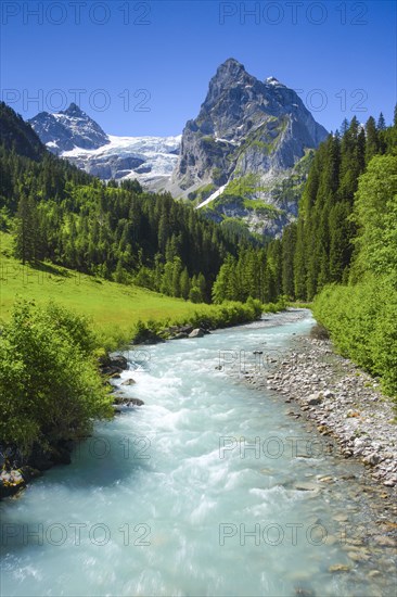 Wellhorn